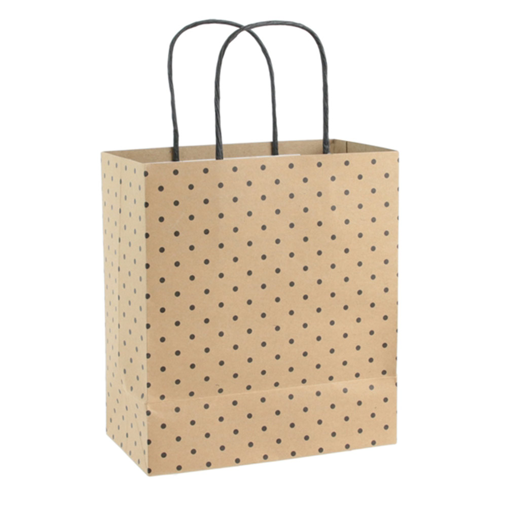 Sac cadeau kraft motif pois 18x21x10cm Argent Chez Rentreediscount